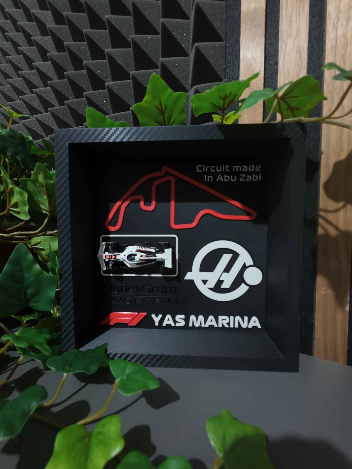 Collector’s Edition F1 HAAS MoneyGram TEAM - zdjęcie główne